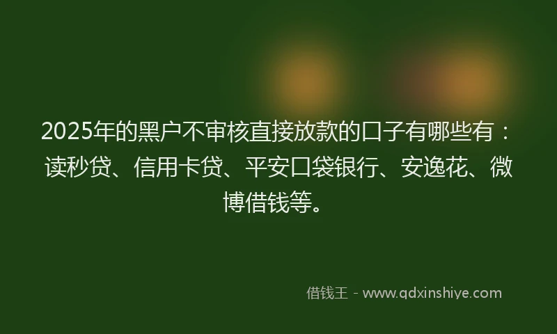 2025年的黑户不审核直接放款的口子有哪些有：读秒贷、信用卡贷、平安口袋银行、安逸花、微博借钱等。