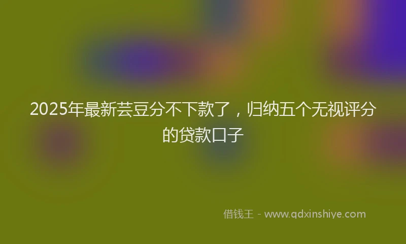 2025年最新芸豆分不下款了，归纳五个无视评分的贷款口子