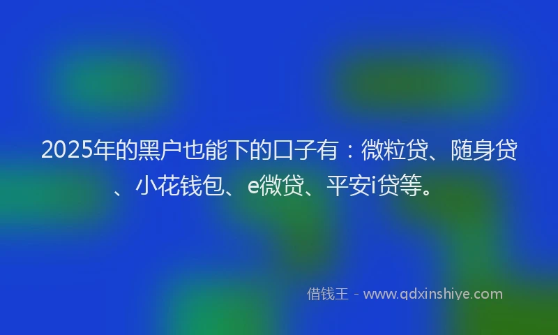 2025年的黑户也能下的口子有：微粒贷、随身贷、小花钱包、e微贷、平安i贷等。