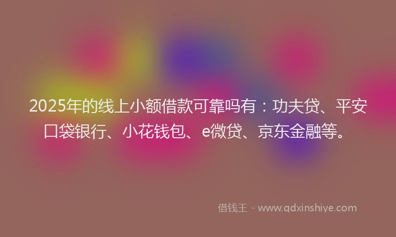 2025年的线上小额借款可靠吗有：功夫贷、平安口袋银行、小花钱包、e微贷、京东金融等。