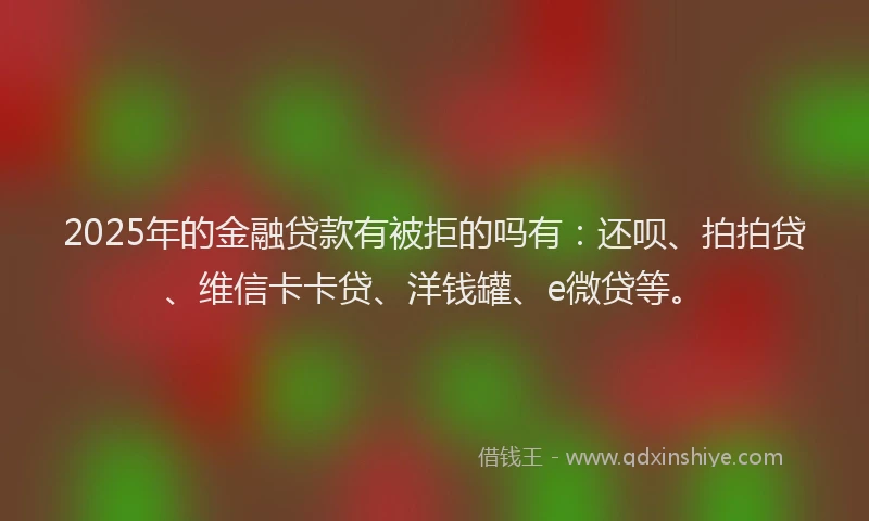2025年的金融贷款有被拒的吗有：还呗、拍拍贷、维信卡卡贷、洋钱罐、e微贷等。