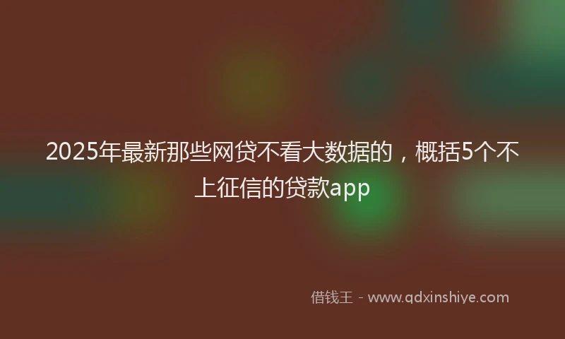 2025年最新那些网贷不看大数据的，概括5个不上征信的贷款app