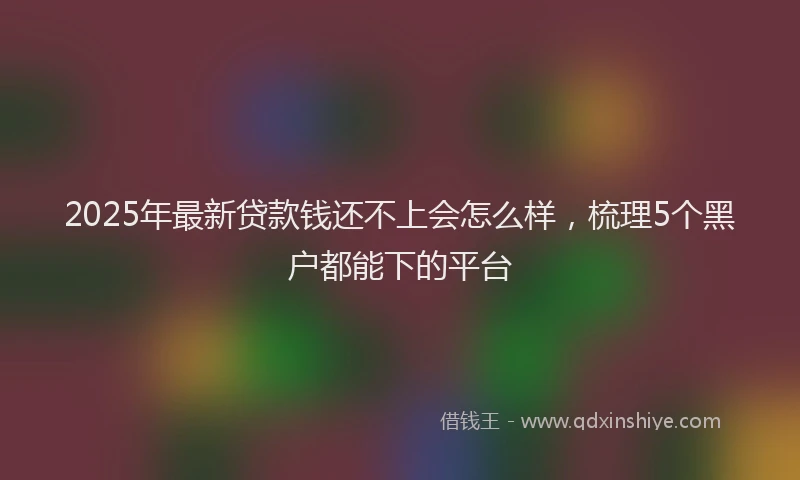 2025年最新贷款钱还不上会怎么样，梳理5个黑户都能下的平台