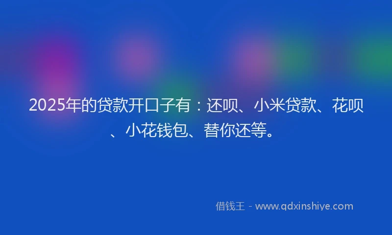 2025年的贷款开口子有：还呗、小米贷款、花呗、小花钱包、替你还等。