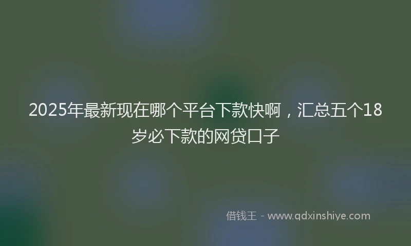2025年最新现在哪个平台下款快啊，汇总五个18岁必下款的网贷口子