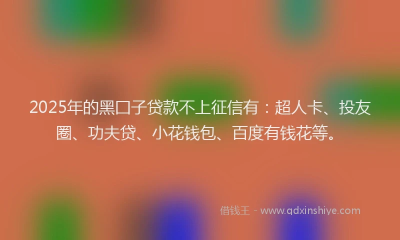 2025年的黑囗子贷款不上征信有：超人卡、投友圈、功夫贷、小花钱包、百度有钱花等。