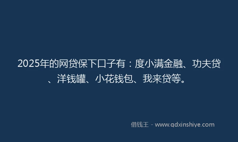 2025年的网贷保下口子有：度小满金融、功夫贷、洋钱罐、小花钱包、我来贷等。