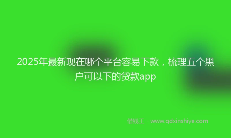 2025年最新现在哪个平台容易下款，梳理五个黑户可以下的贷款app