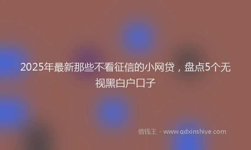 2025年最新那些不看征信的小网贷，盘点5个无视黑白户口子