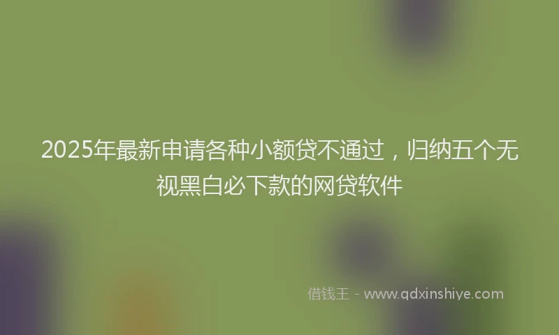 2025年最新申请各种小额贷不通过，归纳五个无视黑白必下款的网贷软件