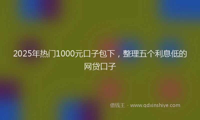 2025年热门1000元口子包下，整理五个利息低的网贷口子