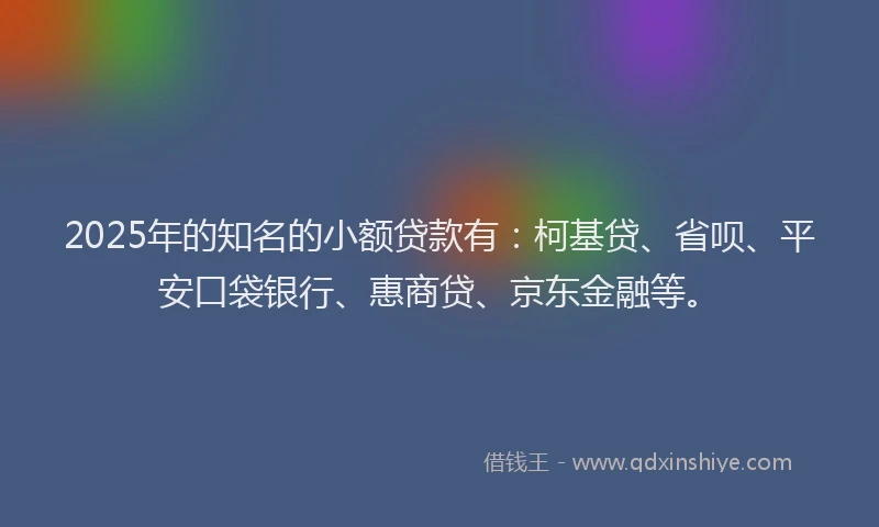 2025年的知名的小额贷款有：柯基贷、省呗、平安口袋银行、惠商贷、京东金融等。