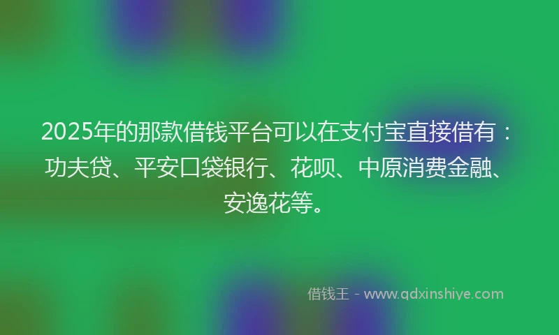 2025年的那款借钱平台可以在支付宝直接借有：功夫贷、平安口袋银行、花呗、中原消费金融、安逸花等。