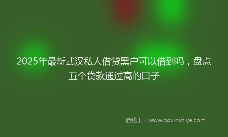 2025年最新武汉私人借贷黑户可以借到吗，盘点五个贷款通过高的口子