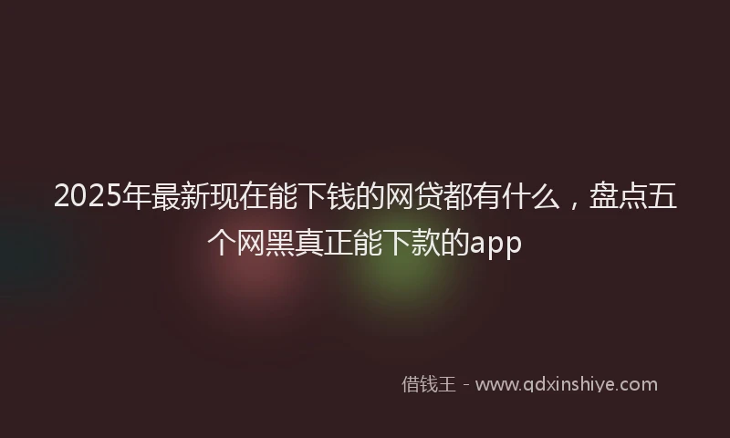 2025年最新现在能下钱的网贷都有什么，盘点五个网黑真正能下款的app