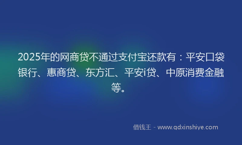 2025年的网商贷不通过支付宝还款有：平安口袋银行、惠商贷、东方汇、平安i贷、中原消费金融等。