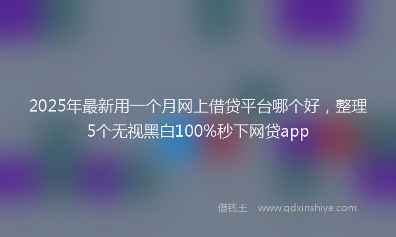 2025年最新用一个月网上借贷平台哪个好，整理5个无视黑白100%秒下网贷app