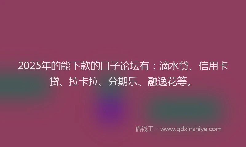 2025年的能下款的口子论坛有：滴水贷、信用卡贷、拉卡拉、分期乐、融逸花等。