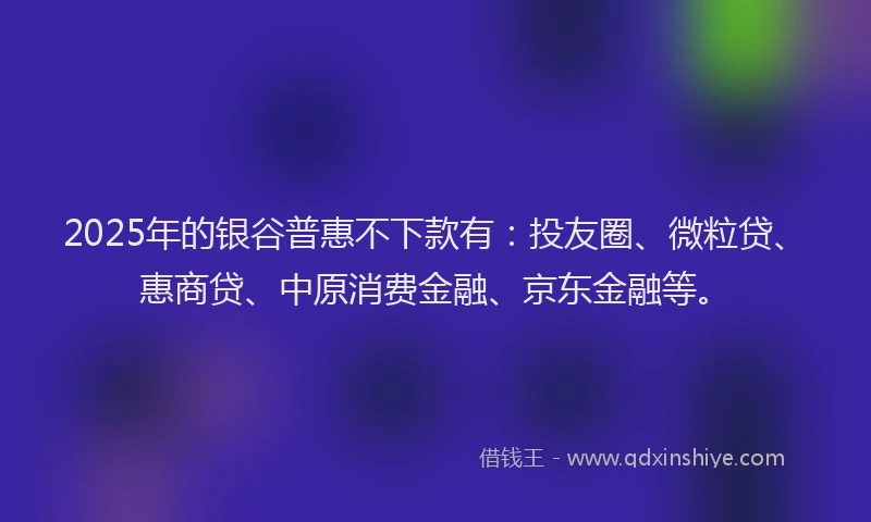2025年的银谷普惠不下款有：投友圈、微粒贷、惠商贷、中原消费金融、京东金融等。