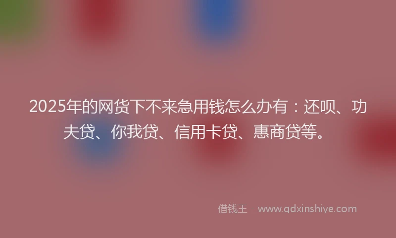2025年的网货下不来急用钱怎么办有：还呗、功夫贷、你我贷、信用卡贷、惠商贷等。