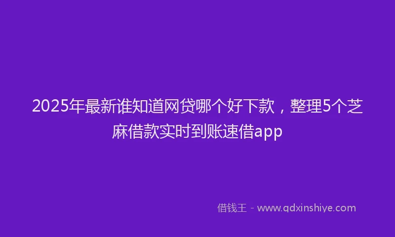 2025年最新谁知道网贷哪个好下款，整理5个芝麻借款实时到账速借app