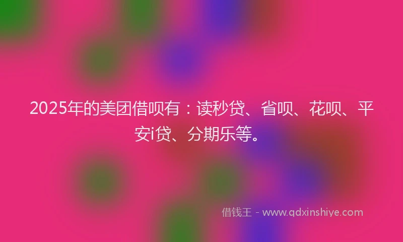 2025年的美团借呗有：读秒贷、省呗、花呗、平安i贷、分期乐等。