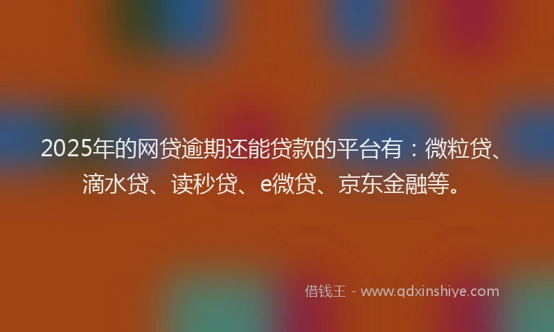 2025年的网贷逾期还能贷款的平台有：微粒贷、滴水贷、读秒贷、e微贷、京东金融等。