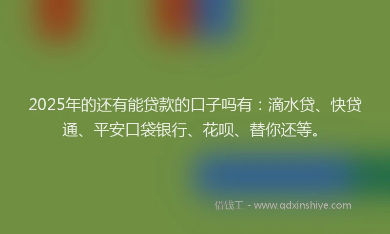 2025年的还有能贷款的口子吗有：滴水贷、快贷通、平安口袋银行、花呗、替你还等。
