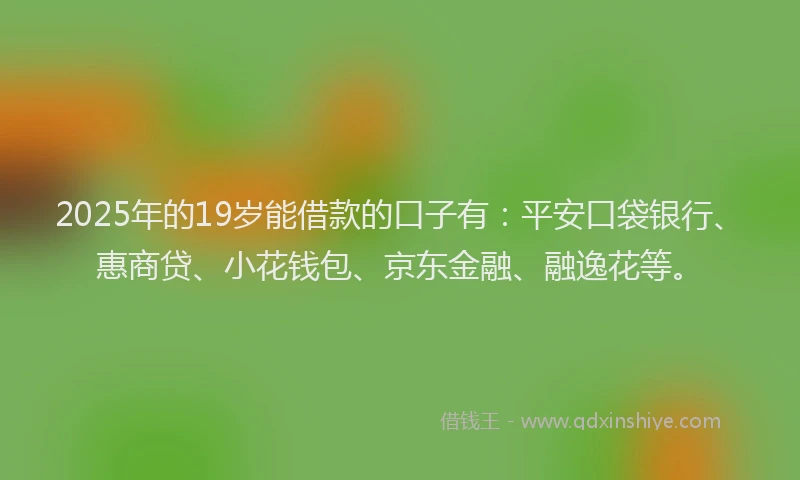 2025年的19岁能借款的口子有：平安口袋银行、惠商贷、小花钱包、京东金融、融逸花等。