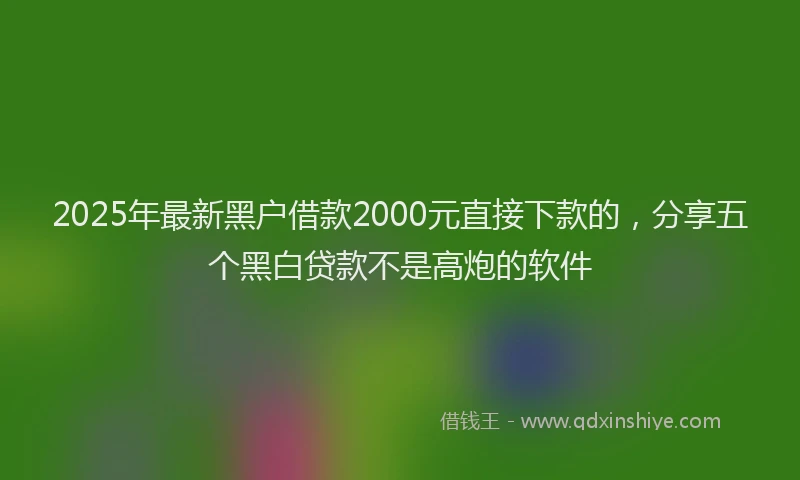2025年最新黑户借款2000元直接下款的，分享五个黑白贷款不是高炮的软件
