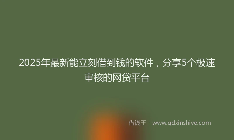 2025年最新能立刻借到钱的软件，分享5个极速审核的网贷平台