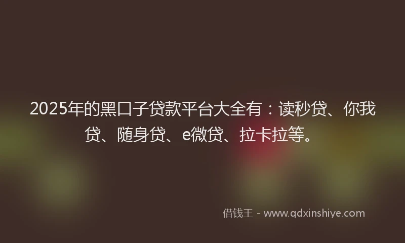 2025年的黑口子贷款平台大全有：读秒贷、你我贷、随身贷、e微贷、拉卡拉等。