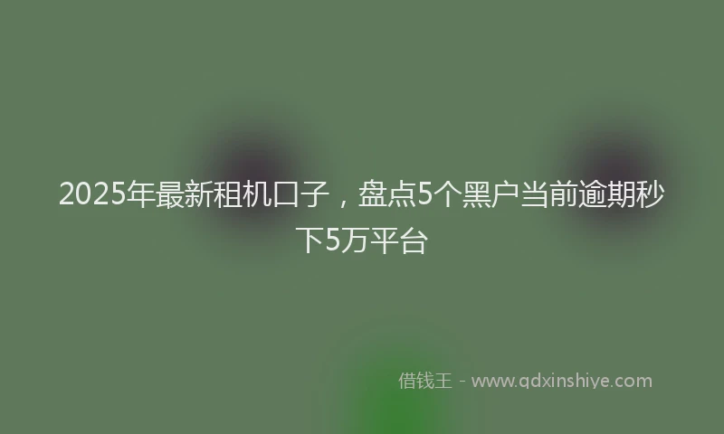 2025年最新租机口子，盘点5个黑户当前逾期秒下5万平台
