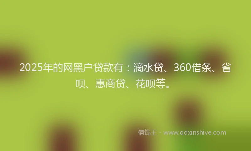 2025年的网黑户贷款有：滴水贷、360借条、省呗、惠商贷、花呗等。
