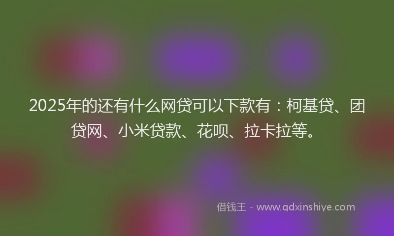 2025年的还有什么网贷可以下款有：柯基贷、团贷网、小米贷款、花呗、拉卡拉等。