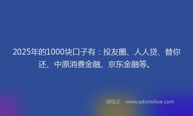 2025年的1000块口子有：投友圈、人人贷、替你还、中原消费金融、京东金融等。