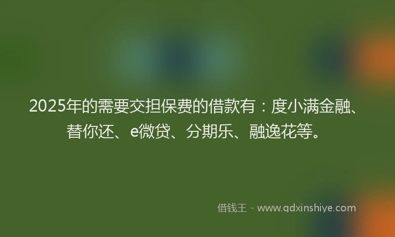 2025年的需要交担保费的借款有：度小满金融、替你还、e微贷、分期乐、融逸花等。