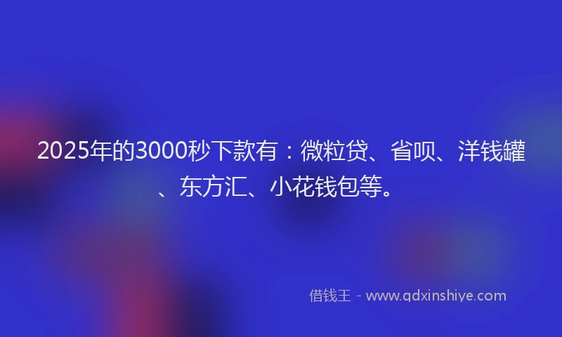 2025年的3000秒下款有：微粒贷、省呗、洋钱罐、东方汇、小花钱包等。