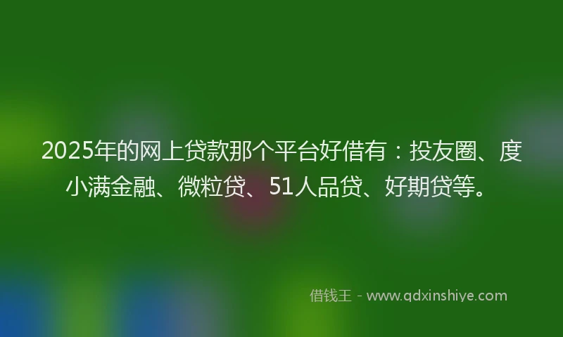 2025年的网上贷款那个平台好借有：投友圈、度小满金融、微粒贷、51人品贷、好期贷等。