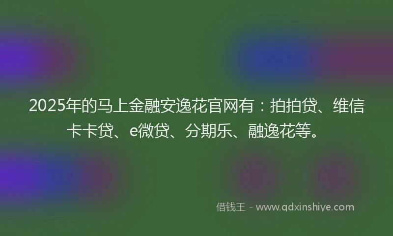 2025年的马上金融安逸花官网有：拍拍贷、维信卡卡贷、e微贷、分期乐、融逸花等。