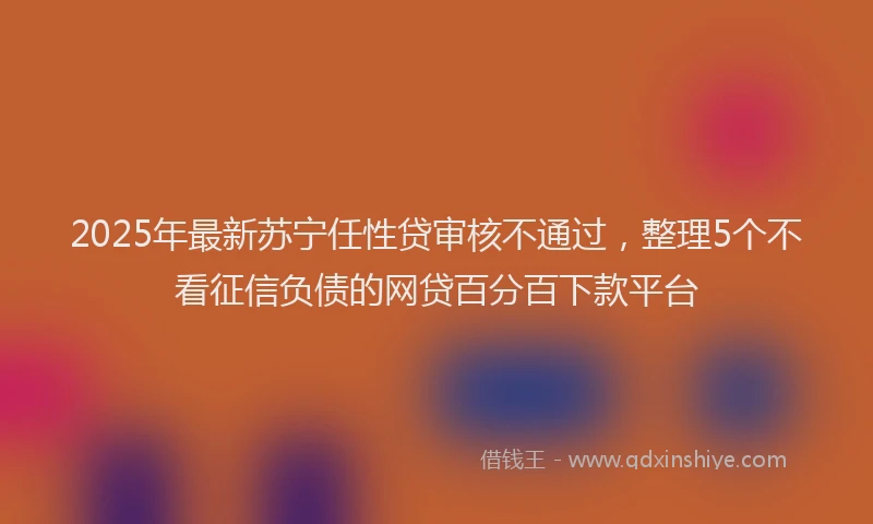 2025年最新苏宁任性贷审核不通过，整理5个不看征信负债的网贷百分百下款平台