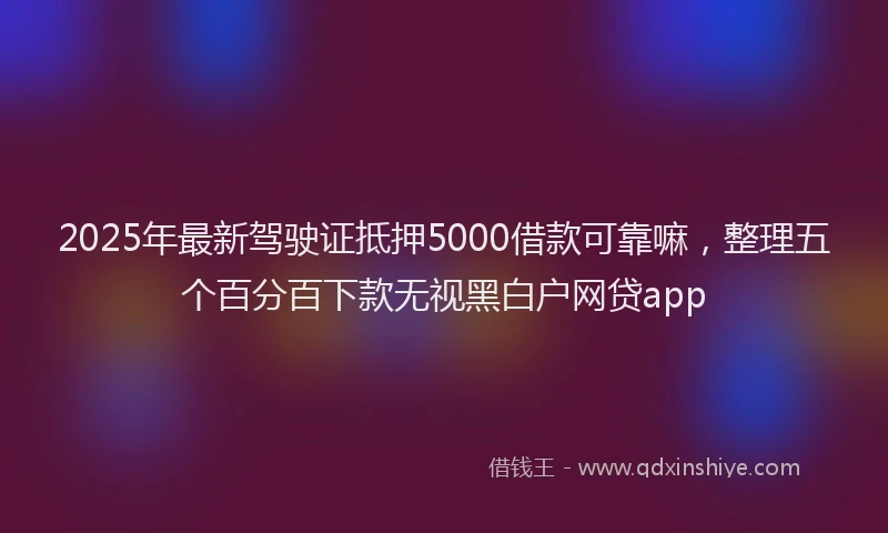 2025年最新驾驶证抵押5000借款可靠嘛，整理五个百分百下款无视黑白户网贷app