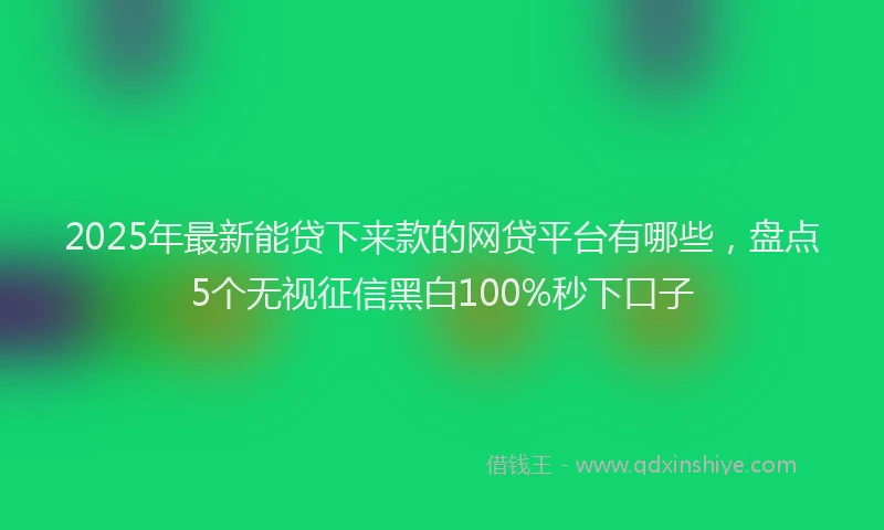 2025年最新能贷下来款的网贷平台有哪些，盘点5个无视征信黑白100%秒下口子