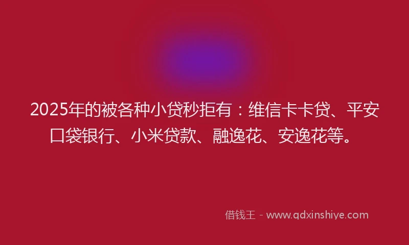 2025年的被各种小贷秒拒有：维信卡卡贷、平安口袋银行、小米贷款、融逸花、安逸花等。