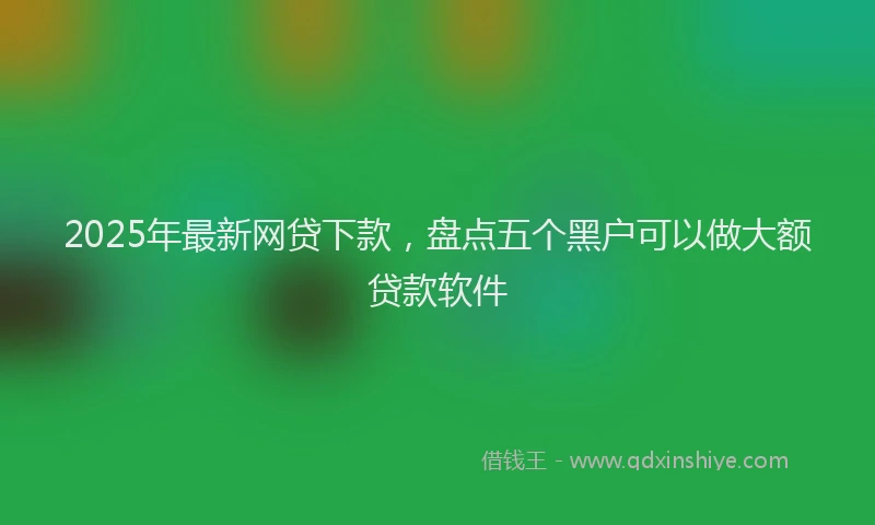 2025年最新网贷下款，盘点五个黑户可以做大额贷款软件