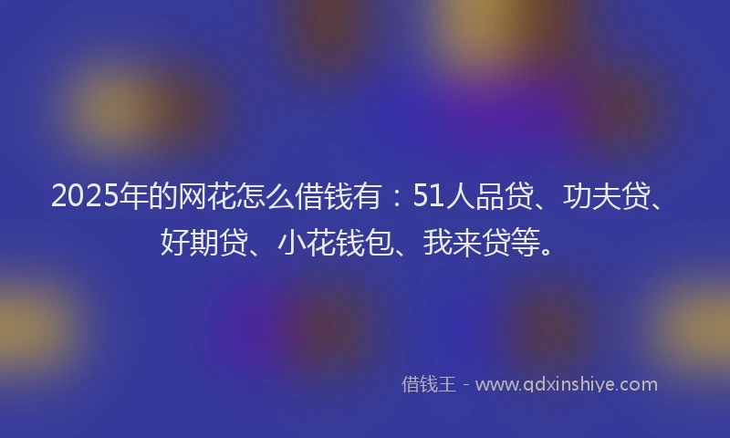 2025年的网花怎么借钱有：51人品贷、功夫贷、好期贷、小花钱包、我来贷等。