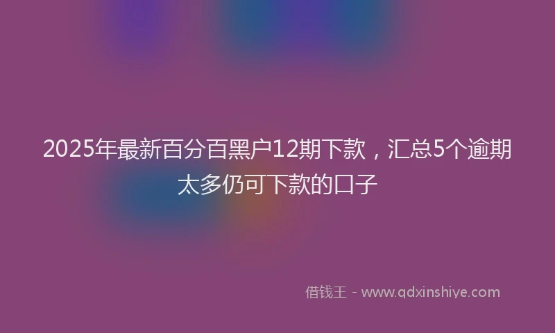 2025年最新百分百黑户12期下款，汇总5个逾期太多仍可下款的口子