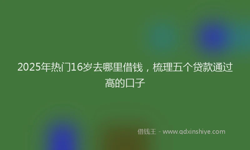 2025年热门16岁去哪里借钱，梳理五个贷款通过高的口子