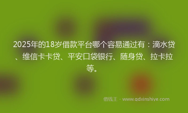 2025年的18岁借款平台哪个容易通过有：滴水贷、维信卡卡贷、平安口袋银行、随身贷、拉卡拉等。