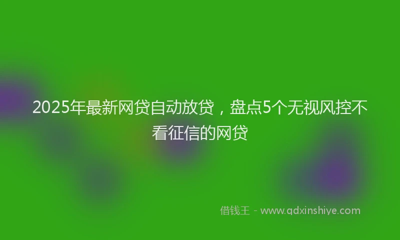 2025年最新网贷自动放贷，盘点5个无视风控不看征信的网贷